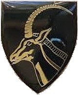 SADF дәуірі Nelspruit Commando emblem.jpg