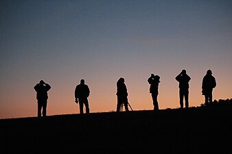 Stargazing at Staunton River State Park near Scottsburg, Virginia, United States