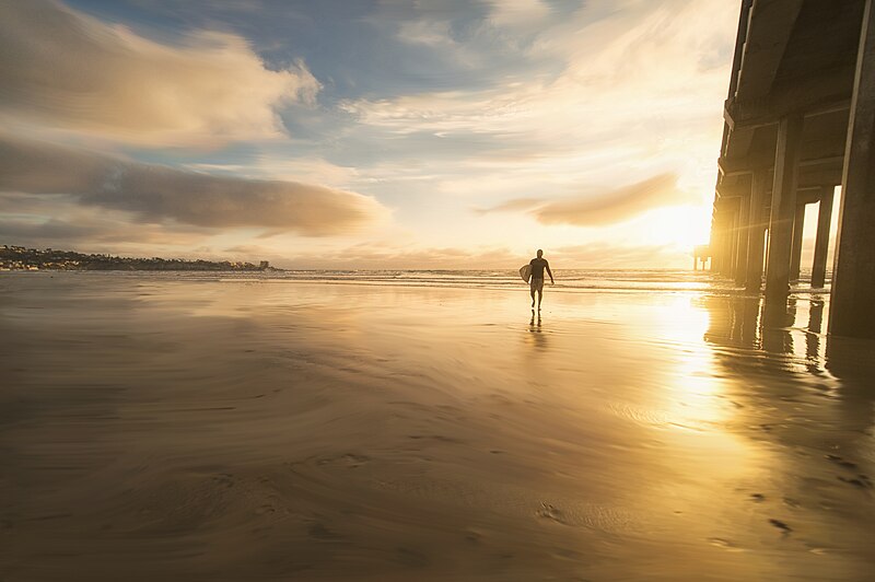 File:San diego surfer sunset (Unsplash).jpg