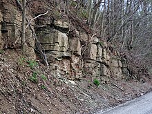Batu pasir (Greene Pembentukan, lebih Rendah Permian; Clark Hill bagian, Panjang Ridge, Monroe County, Ohio, amerika SERIKAT) 4 (29676337306).jpg