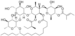 Structural formula of scammonin