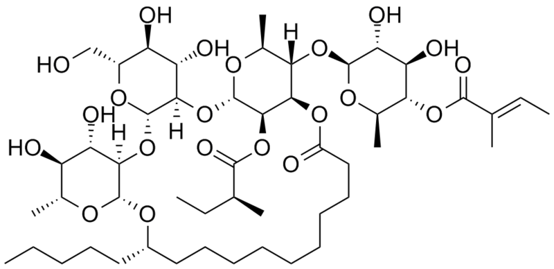 File:Scammonin I.png