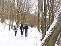 Schlachtensee - Winterwanderweg (Winter Countryside Path) - geo.hlipp.de - 33183.jpg