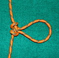 Für eine Schlaufe in der Mitte eines Seiles eignet sich der Schmetterlingsknoten.