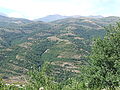 Miniatura per Serra de la Bastida (Sarroca de Bellera)