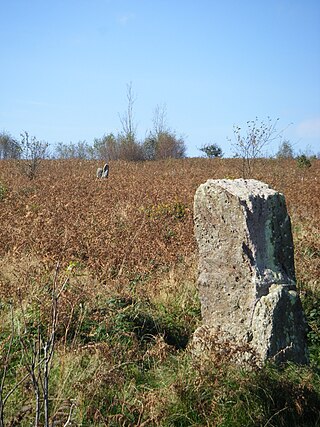 <span class="mw-page-title-main">Gray Hill, Monmouthshire</span>