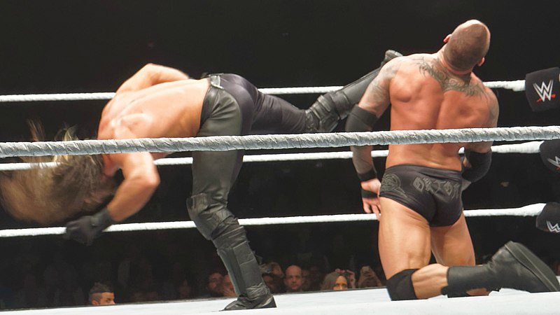 File:Seth rollins back kick.jpg