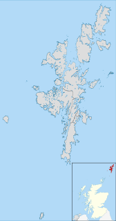 <span class="mw-page-title-main">2007 Shetland Islands Council election</span>