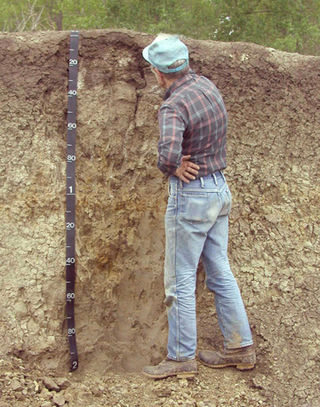 <span class="mw-page-title-main">Soil science</span> Study of soil as a natural resource on the surface of the earth