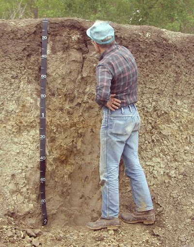 A soil scientist examining horizons within a soil profile