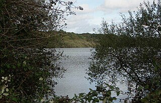 Sowley Pond