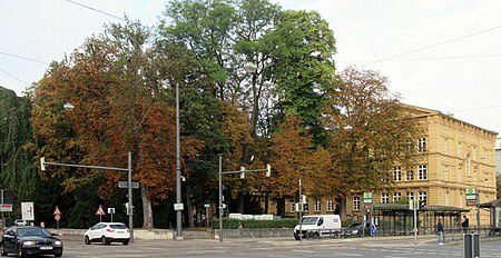 Stadtpflegeranger Augsburg, 2018 retuschiert