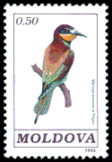 Stamp of Moldova -European bee-eater