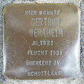 image=File:Stolperstein_Bückeburg_Lange_Straße_15_Gertrud_Wertheim.jpg