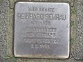 image=https://commons.wikimedia.org/wiki/File:Stolperstein_Düsseldorf_2_Düsseltal_Graf-Recke-Straße_53_Reinhard_Semrau.jpg