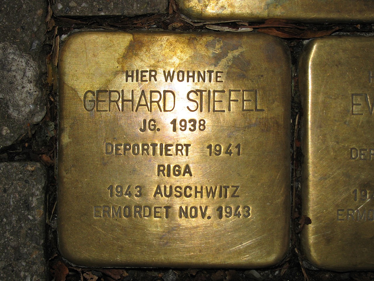 Stolperstein Gerhard Stiefel, 1, Grüner Weg 5, Mitte, Kassel.jpg
