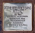 Bernhard Wolgang Petzal, Tile-Wardenberg-Straße 13, Berlin-Moabit, Deutschland