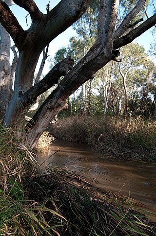 <span class="mw-page-title-main">Warriparinga</span> Nature reserve in Adelaide, Australia