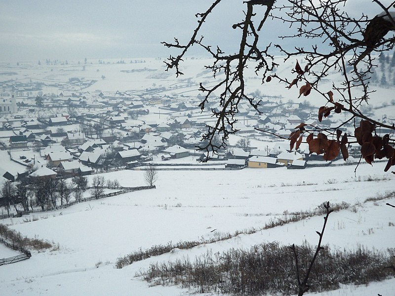 File:Subcetate, Romania - panoramio (5).jpg