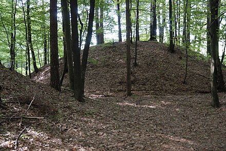 One of the Hallstatt culture-era tumuli in the Sulm valley necropolis