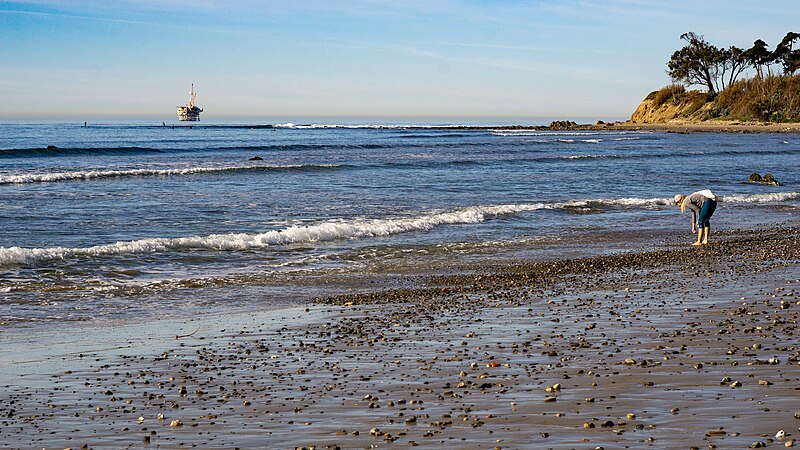 File:Surfers at Sands (46899474861).jpg