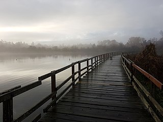 <span class="mw-page-title-main">Swan Lake Nature Sanctuary</span> Nature reserve in British Columbia