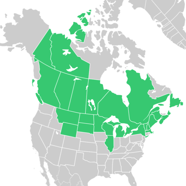 File:Symphyotrichum ciliolatum distribution.png