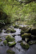 Vignette pour Tautuku (fleuve)