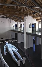 Anfiteatro anatomiko modernoa, Paduako Musme museoan.