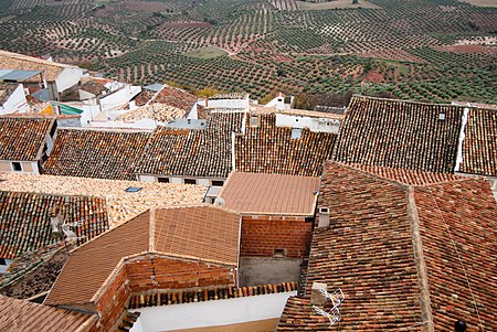 Tejados y campos de Sorihuela.jpg