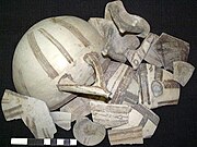 יבוא קיפרי אשר נמצא באזור המעגן בתל, כלי חרס ממשפחת כלים מחופים לבן ( White Slip Ware) – חפירות 2001