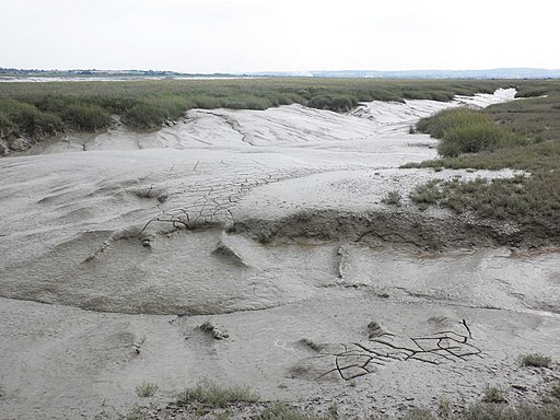 Tidal creek, Parrett Estuary - geograph.org.uk - 3615615