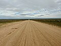 Track in Mungo National Park.jpg