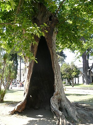 Topkapı Palace