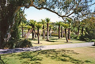 <span class="mw-page-title-main">Logan Botanic Garden</span> Scottish botanical garden with unusual climate