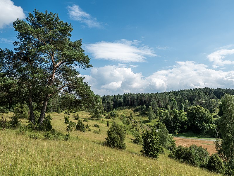 File:Trockenhänge-Pottenstein-7171174.jpg