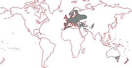 Turdus merula distribution.jpg