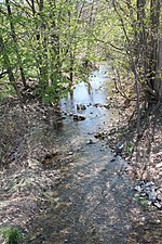 Turkey Run (West Branch Susquehanna River tributary)