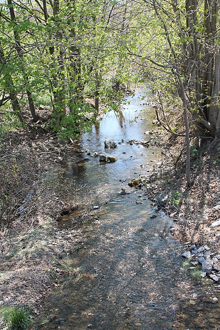 Turkey Run looking downstream