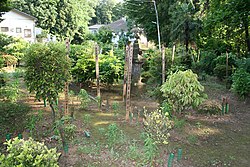 両墓制 - Wikipedia