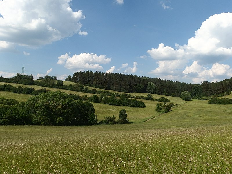 File:Vítějeves, krajina.jpg