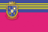 Drapeau de Raïon de Vassylivka