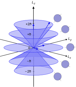 Illustration of quantum mechanical orbital angular momentum. The cones and plane represent possible orientations of the angular momentum vector for
l
=
2
{\displaystyle \ell =2}
and
m
l
=
-
2
,
-
1
,
0
,
1
,
2
{\displaystyle m_{l}=-2,-1,0,1,2}
. Even for the extreme values of
m
l
{\displaystyle m_{l}}
, the
z
{\displaystyle z}
-component of this vector is less than its total magnitude. Vector model of orbital angular momentum.svg