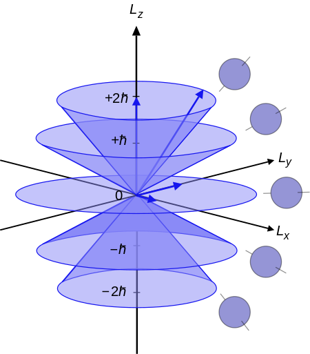 Tập_tin:Vector_model_of_orbital_angular_momentum.svg