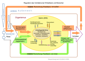 Biologie Verhalten: Verhalten und Verhaltensforschung, Beispiele für komplexe Verhaltensweisen, Reaktionsformen von Pflanzen