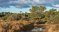 * Nomination Vic-la-Gardiole, Hérault, France. --Christian Ferrer 06:08, 5 February 2014 (UTC) * Promotion Overall good quality but the bottom is very unsharp. What about cropping between the two puddles? --Cccefalon 06:26, 5 February 2014 (UTC)  Done cropped --Christian Ferrer 11:42, 5 February 2014 (UTC)  Support Great! I like it very much now - it's giving the idea of broad horizon. --Cccefalon 13:59, 5 February 2014 (UTC)