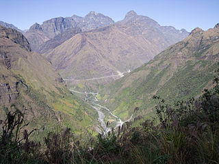 Turini (Sud Yungas)