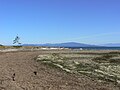 Lasqueti Island and the mainland Coast Mountains in the distance