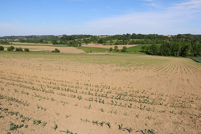 File:Vlaamse Ardennen 105.jpg