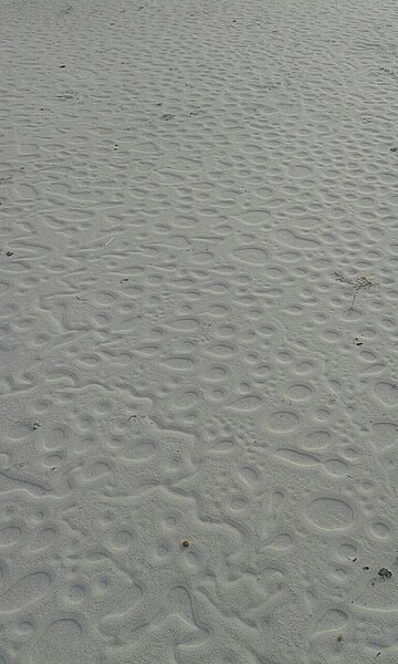 File:Watery pattern on white sea sand.jpg